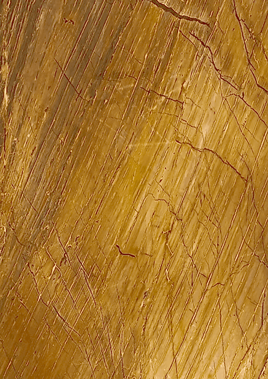 bronz vinilo bronz vinilo